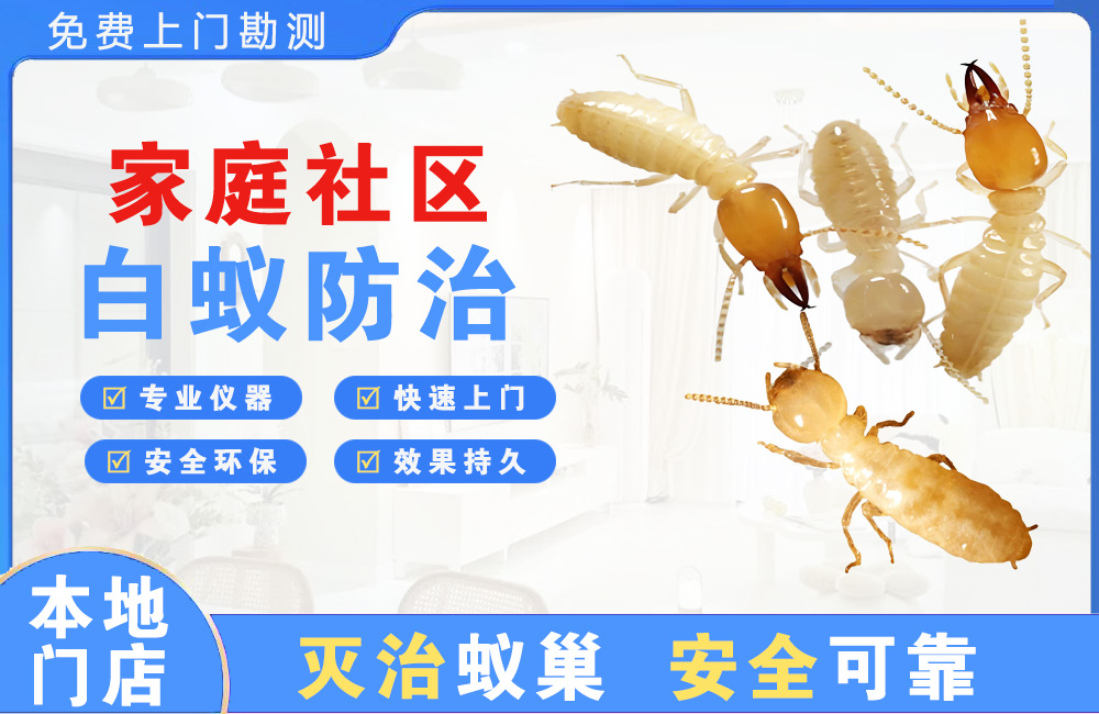 汉南家庭社区白蚁防治