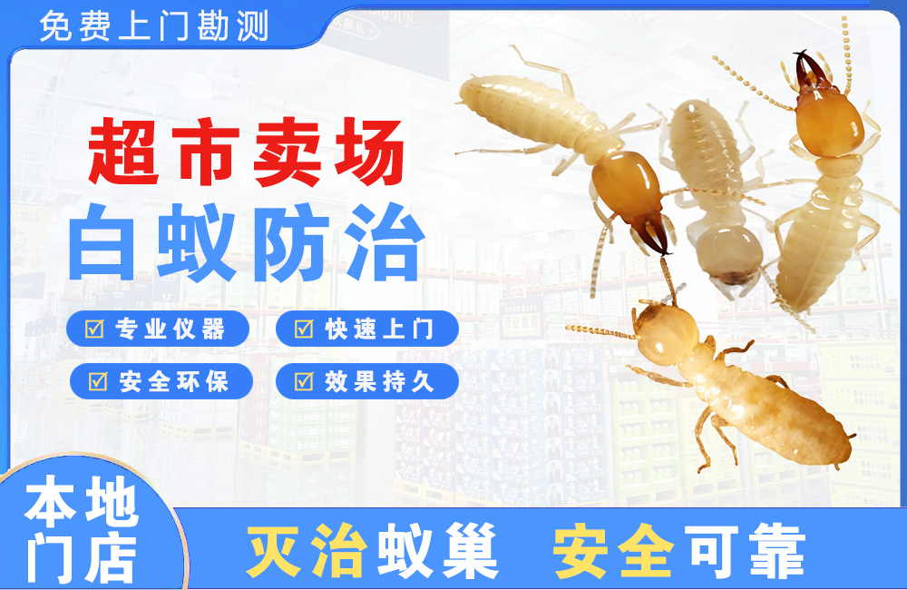 汉南超市卖场白蚁防治