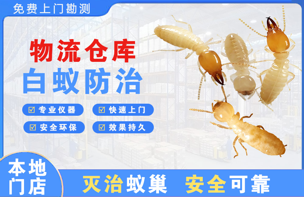 汉南物流仓库白蚁防治