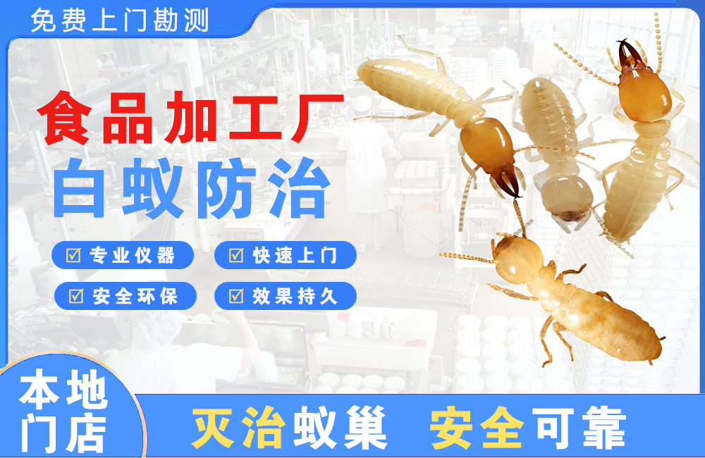 汉南食品加工厂白蚁防治