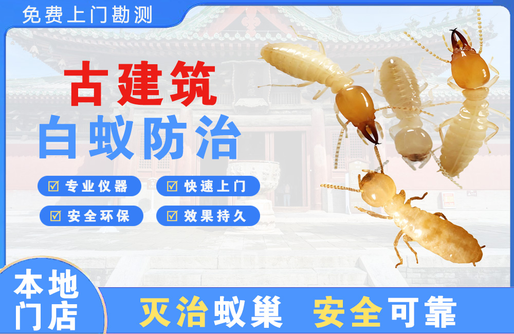 汉南古建筑白蚁防治