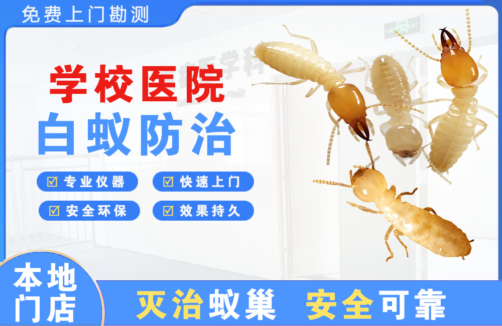 汉南学校医院白蚁防治